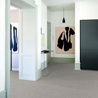 [roomshot]