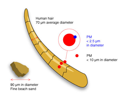 particulate matter