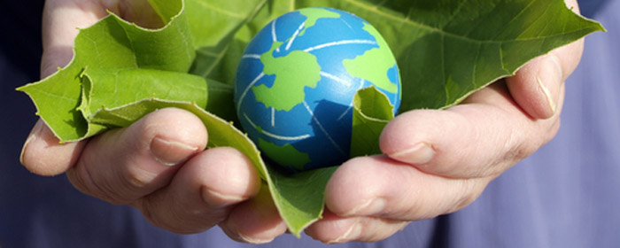 sustainable enterprise resource planning systems implementation