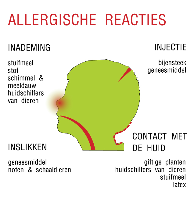 Misvatting Allergisch voor tapijt Tapijt van AW (Associated Weavers) Misvatting Allergisch voor tapijt Tapijt van AW (Associated Weavers)