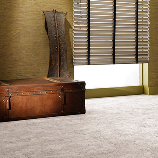 [roomshot]